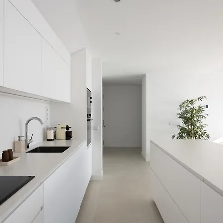 Panorama Luxury Penthouse In Higueron Apartamento