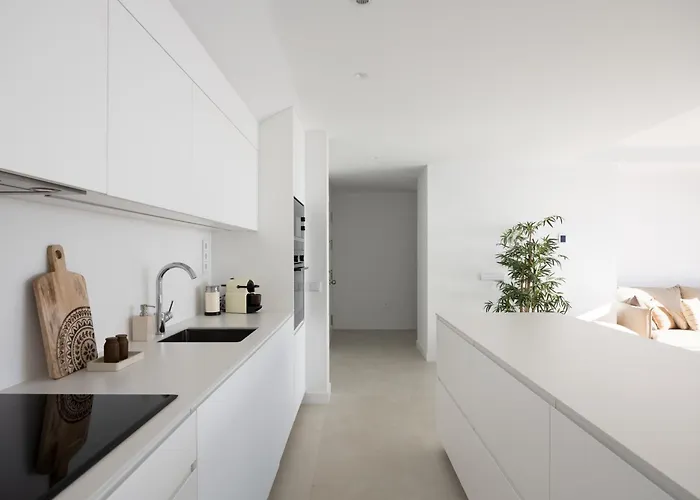 Panorama Luxury Penthouse In Higueron Apartment